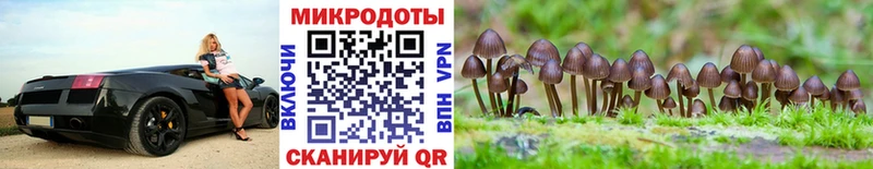 Псилоцибиновые грибы GOLDEN TEACHER  Кореновск 