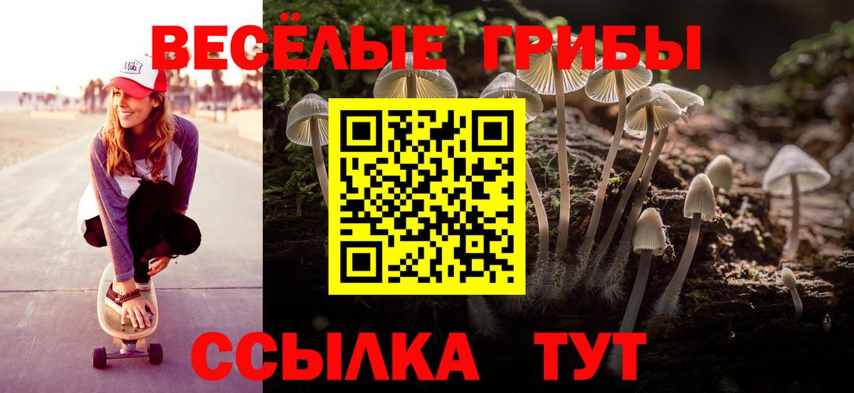 Кореновск  Галлюциногенные грибы Psilocybine cubensis  как найти   Вход с VPN 